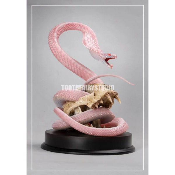 Tooth Fairy Studio - Boning Knife Snake