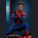 HOT TOYS 1/6 MMS 771/772 The Amazing Spider-Man (Special / DX)