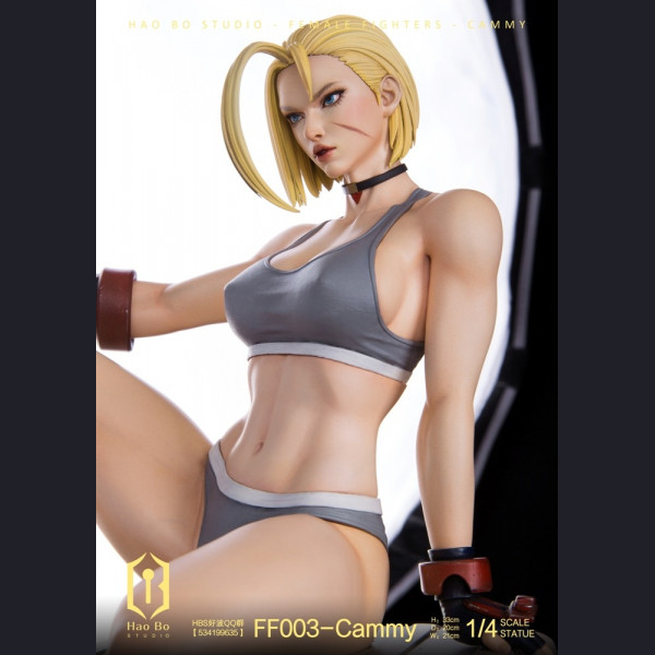 HBS - Cammy – Street Fighter