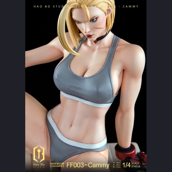 HBS - Cammy – Street Fighter