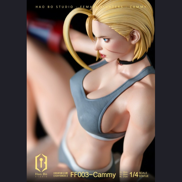 HBS - Cammy – Street Fighter