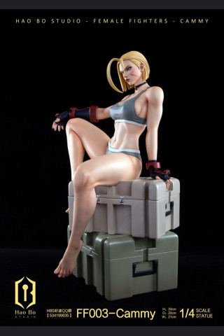 HBS - Cammy – Street Fighter