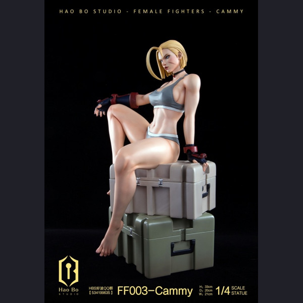 HBS - Cammy – Street Fighter