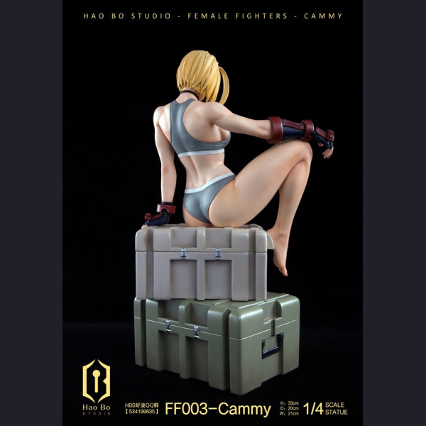 HBS - Cammy – Street Fighter