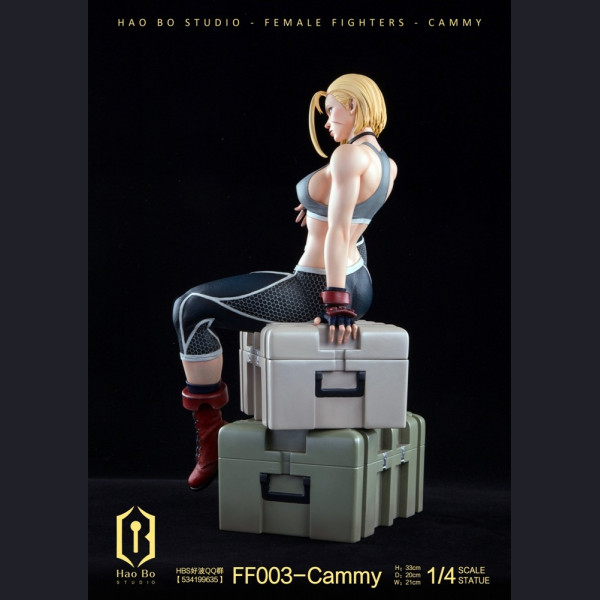 HBS - Cammy – Street Fighter