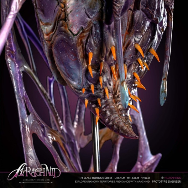 Tianye Studio - Arachnid